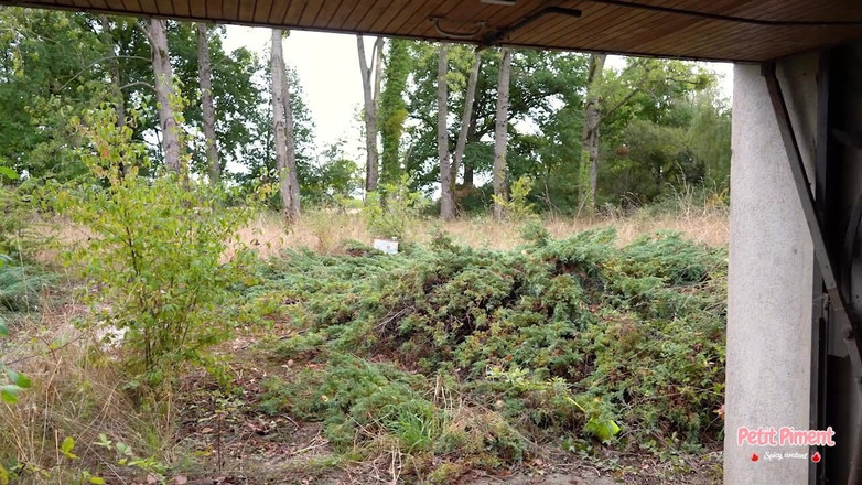 Petitpiment: Notre Premier Vlog De L'été