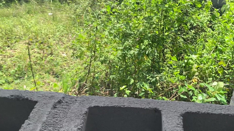 Pretty Pussy Studio: 元恋人が未完成の建物で彼女と一緒に驚かせてくれた