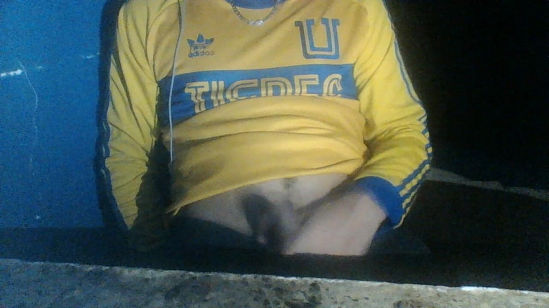 AlexAlejandro13: 의자