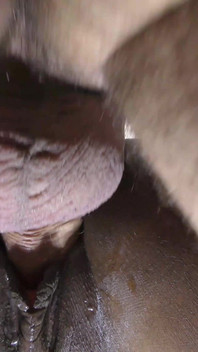 Une grosse bite blanche éjacule dans une chatte d'ébène étroite en levrette