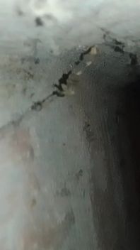 My Real Viral Video