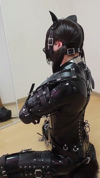 Un cățeluș legat cu latex, plimbând câinele