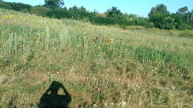 LizAngel: Feticismo del piede in natura