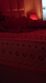 Szczęśliwe Diwali z Bhabhi część 7