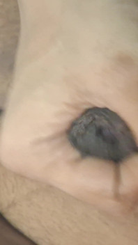 Blowjob fickt