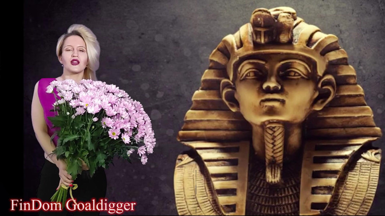 FinDom Goaldigger: VIP loserpaypig tillstånd