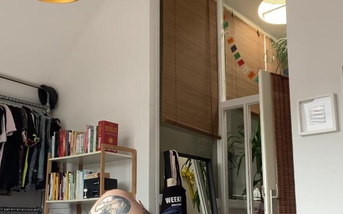 Stallion papi: Honění Tatto