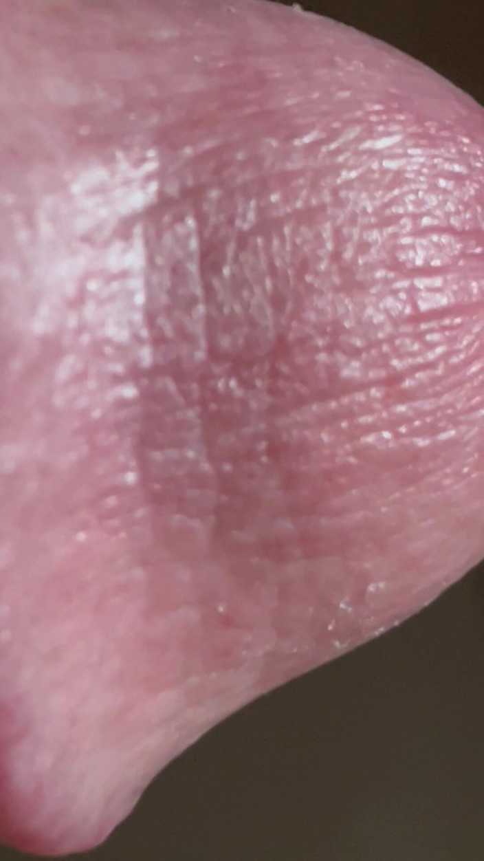 ragil01: Nahaufnahme des Penis mit einer Vene