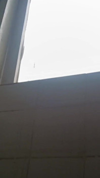 I Present to You My Dick