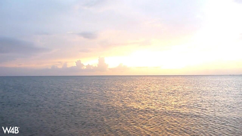 Watch4beauty: Jogador de praia