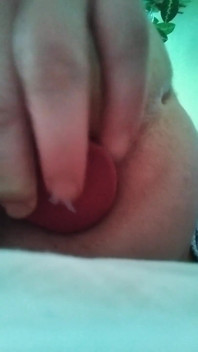 Anal Gear Box