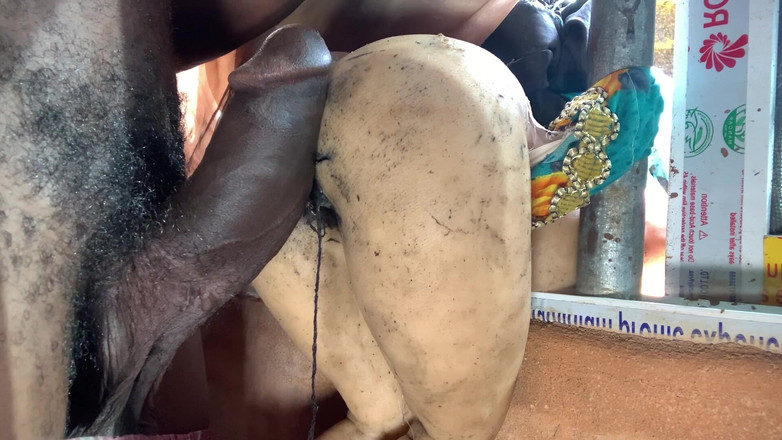 Bangcum8: Big Deep Herd Sex Show