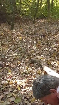 Sofocar al viejo esclavo en el bosque