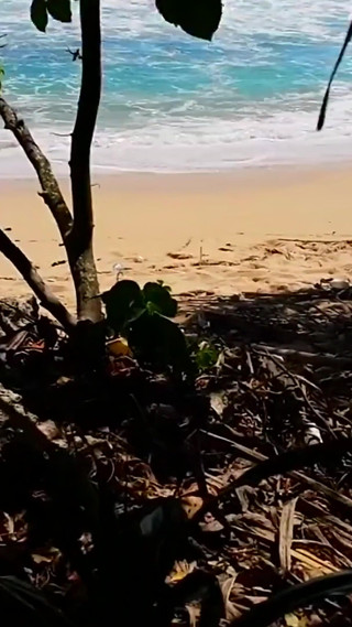 Thumbnail of Sexy Brunette MILF Gets Fucked on the Beach and Gets a Huge Facial Cumshot