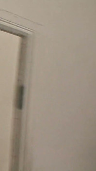 Cute couple kiss passionately before sexy cutie sucks his dick