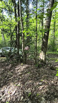 Elle se fait surprendre en train de se caresser la chatte dans les bois en train de squirter sur le capot de sa voiture