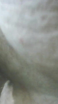 Cumshot & Jerking off