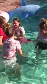 Quatre filles sucent et chevauchent une bite chanceuse dans la piscine