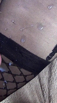 Xuất tinh vào tôi trước khi bạn rời đi mãi mãi