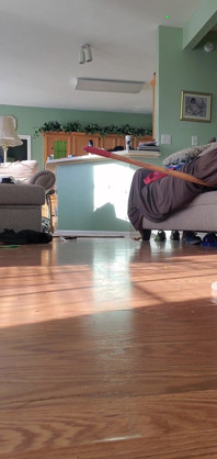 Sucking My Broom