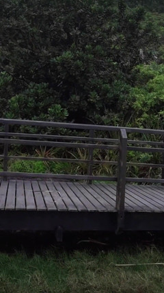 Beach Trans Slut Gets Fucked by Couple in Public - She Fucks the Wife While Husband Fills Her Ass! thumbnail