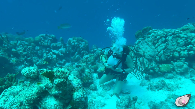 Mistress Pink Pearl: 博内尔岛独处时间