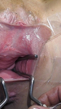 Yaygın Vagina, Sperr'leri Daha Da Açık Ve Dildo Düzenlemesiyle Yakından, İçine Bakıp Sıçratma