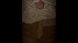 Video kompilasi crot sperma hangat baruku.