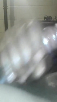 Slowly Stroking My Huge Black Dick Cumming so Much so Hard