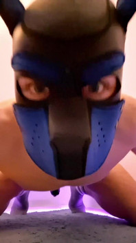 Bekaret kafesinde azgın evcil hayvan