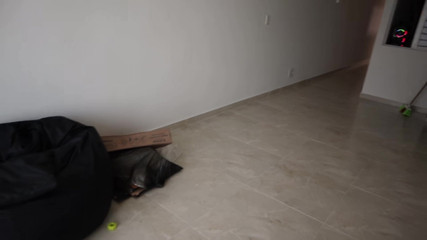 Solo_incognita: Učím svou malou nevlastní sestru hrát si na mobilu, zatímco...