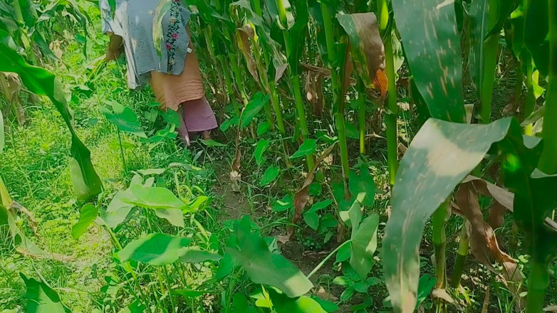 Deshi women: Gaon's desi chudai jungle mein mangal