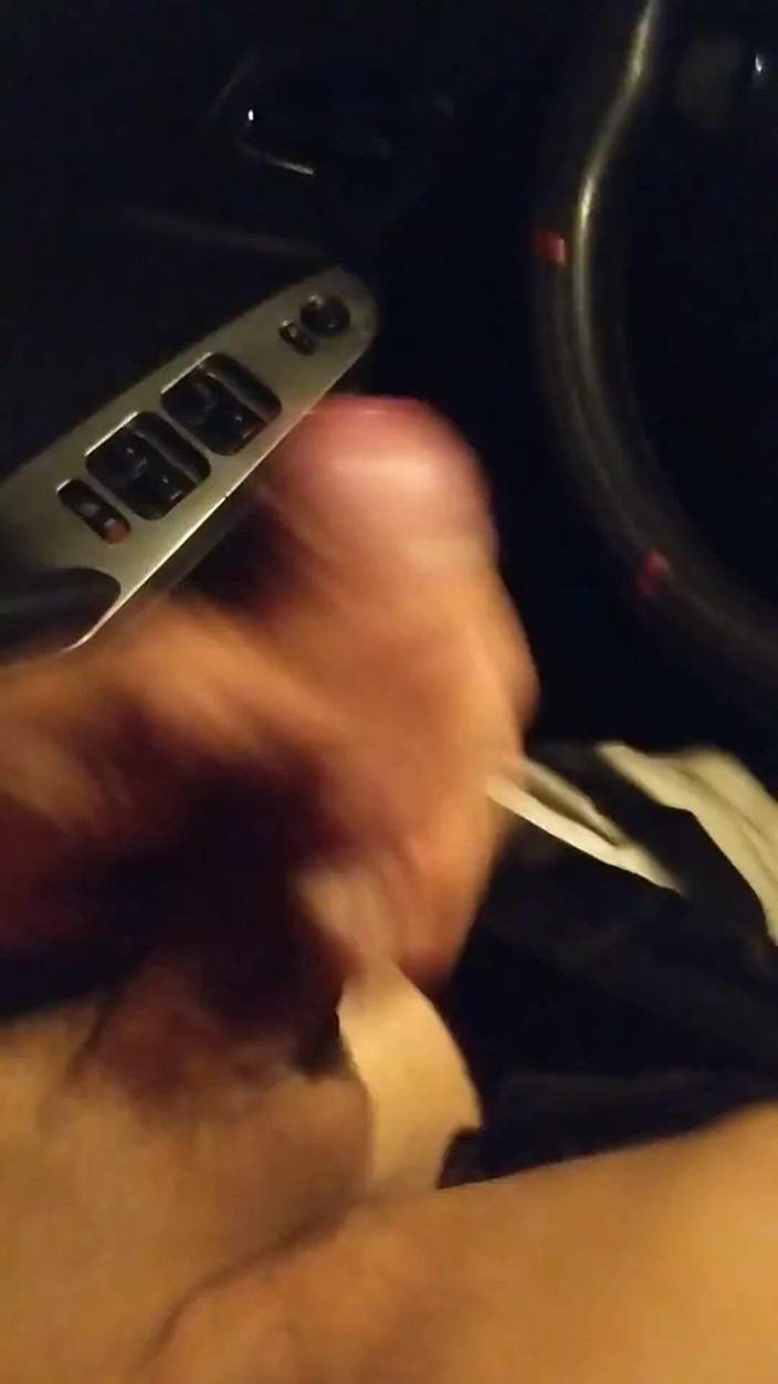 Sub puppy: Sólo v mém autě