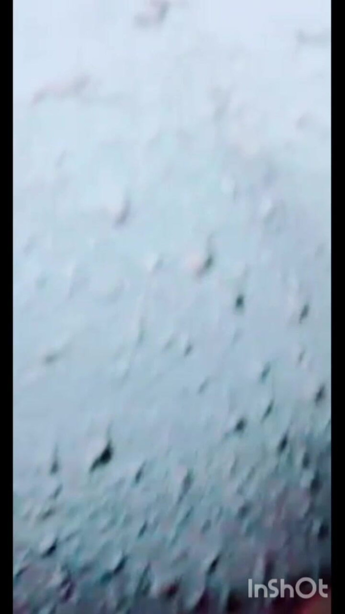 TricolorMusic3: हाय, मैं तुम्हारी लावन्या भाभी हूं