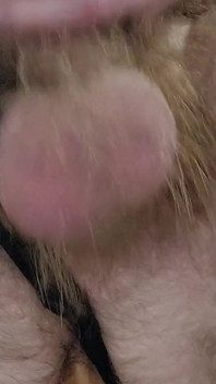 Precum na minha calcinha de seda enquanto goza da minha bunda cavalgando um vibrador e esguichando uma enorme carga