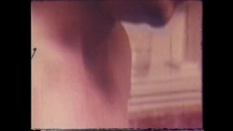 Vintage megastore: Cucej ptáka prasátku