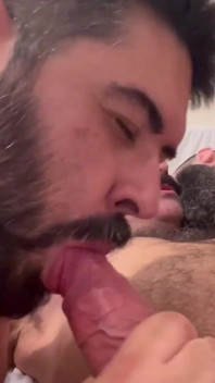 Gros ours, trio