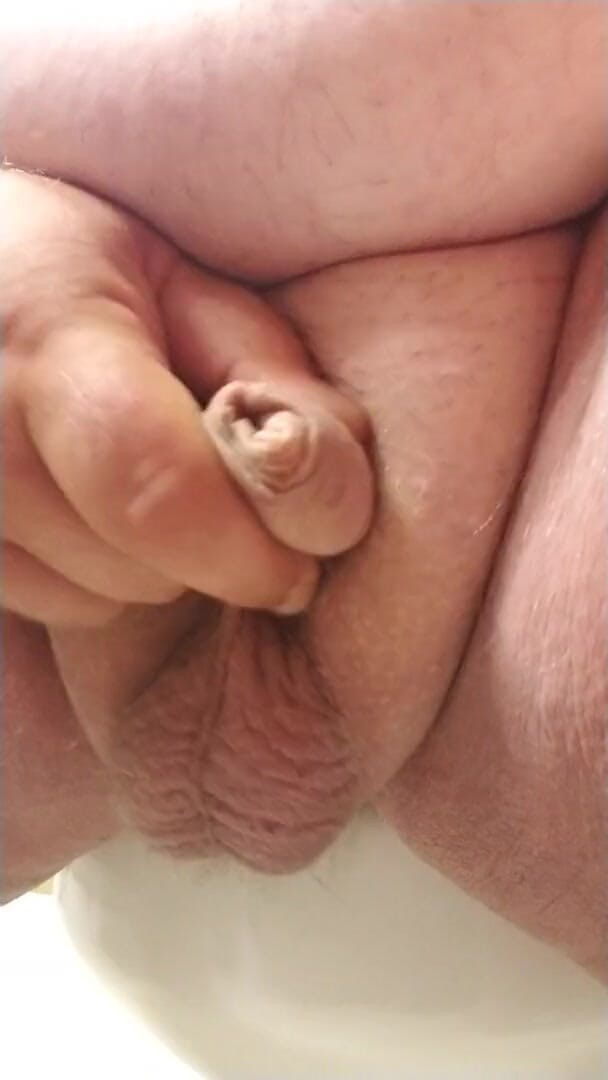 Chubby Bear: Close up of tiny cock jerking off