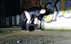 Toilet Mommy: Hloupé bezduché kundičky dělají perfektní toaletní kartáče!