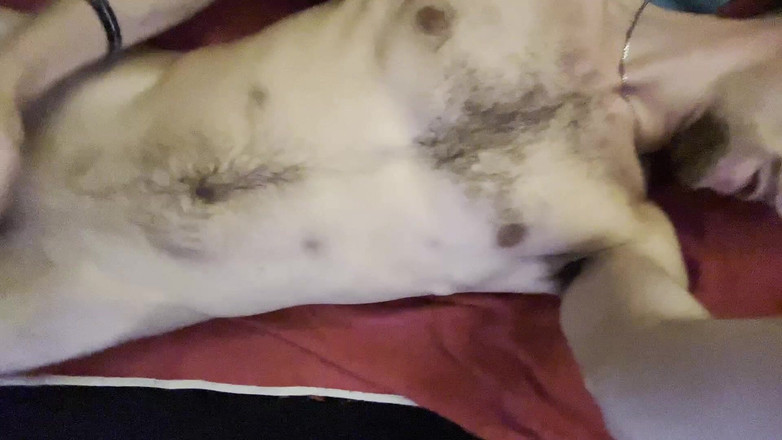 XLNicoo: Me Pongo Cachondo Yo Solito Y No Paro Hasta Correrme