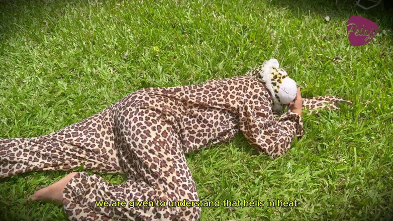 Pelaje mix: Natgio मिक्स: जंगली शेर और तेंदुए सेक्स खेल