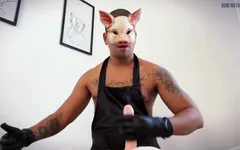 Schwein sucht nach sperma