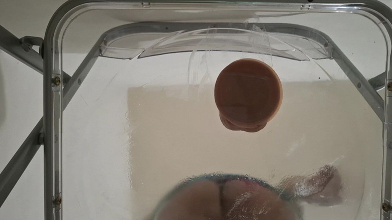 fermerino: Trans Fat Ass Gwen Facesitting and Anal Fucked with Creampie...
