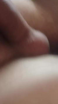 Penis