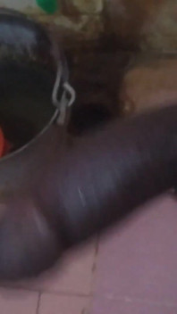 Tamil 10chis BBC Morning Wood Show