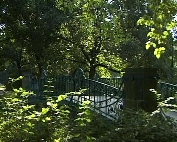 Busty German Sluts: This Naughty German Teen Enjoy Anal Penetration in Park