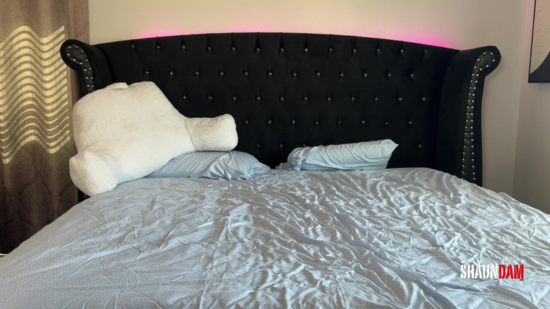 Shaundam: Luna live versie