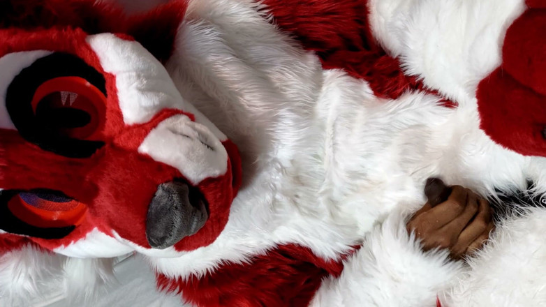 PawgrammerSocks: Furry in Full-body Fursuit Pisses on You, Then Cums Over...