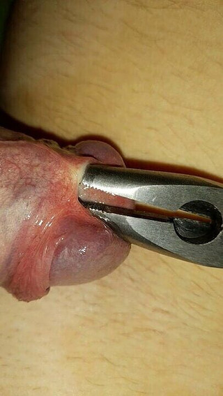 Swedish_switcher: Sada nástrojů Zvuky a Pruty