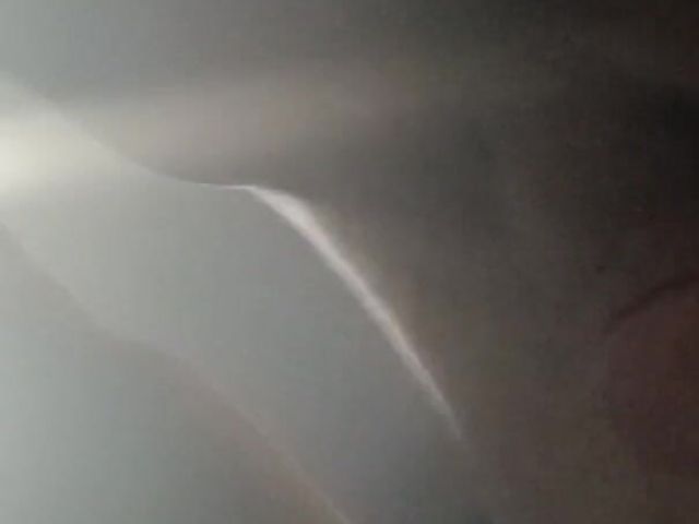 White Cock (Wetwhistle)